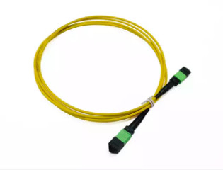 8 12 24 Faser-Optikflecken-Kabel des Kern-FTTX MTP MPO für Faser Inspektion Millimeter