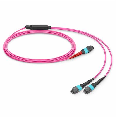 Qualität MTP Breakout-Kabel mit OM4-Fasern und OFNP-Brandschutz-Jacht mit 0,35 dB niedrigem IL Fabrik
