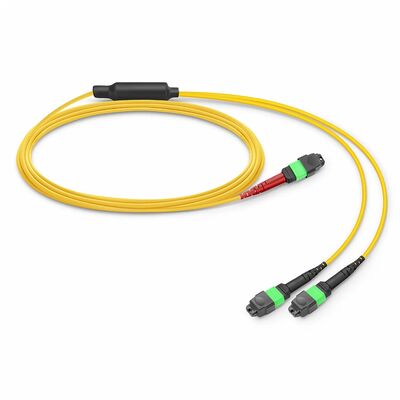 Qualität MTP Breakout-Kabel mit 0,35 dB niedrigem IL und G.657.A1 biegeunempfindlicher Faser für OFNP-Brandschutzanwendungen Fabrik