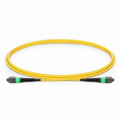 Qualität MPO Jumperkabel mit 0,35 dB Low IL für 800G QSFP-DD-Transceiver und G.657.A1 Beugen von unempfindlichen Fasern Fabrik
